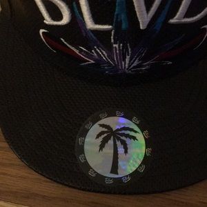 SnapBack hat new with tag
